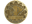 Lynn Vision (Gold) | Cologne 2026